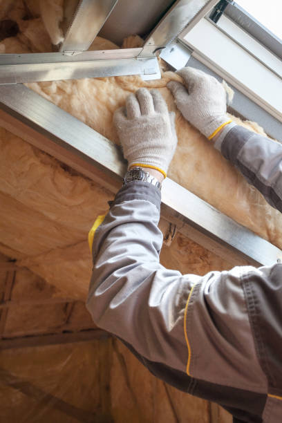 Best Blown-in Insulation in Morris, IL