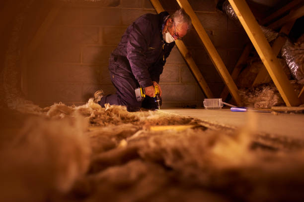 Trusted Morris, IL Insulation Contractor Experts